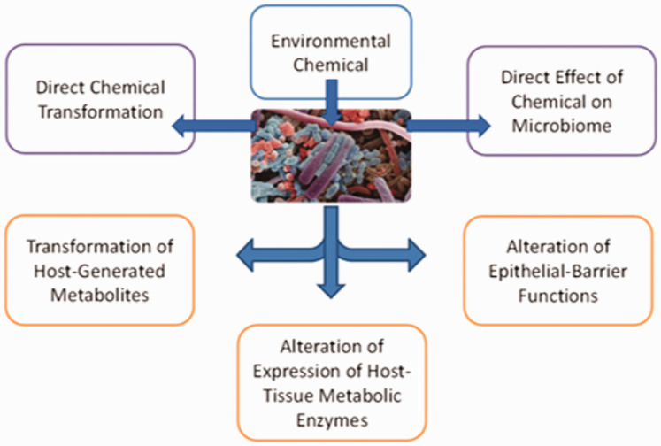 Figure 35.