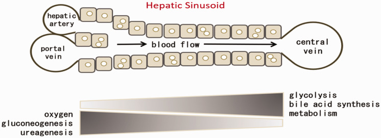 Figure 18.