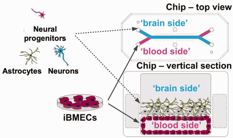 Figure 26.