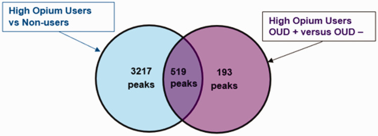 Figure 13.