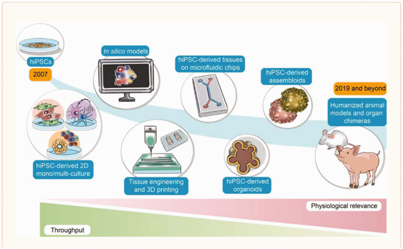 Figure 28.