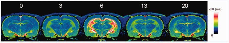 Figure 32.