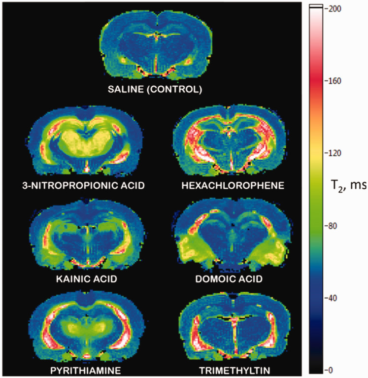 Figure 31.