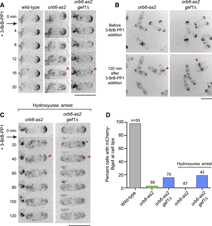 Figure 2