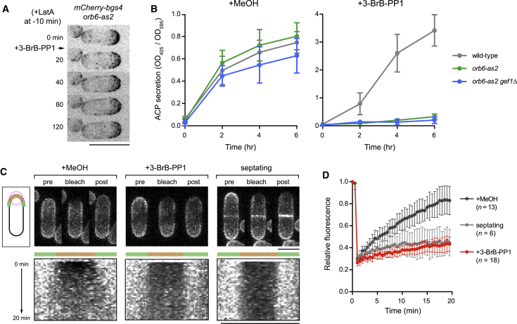 Figure 3