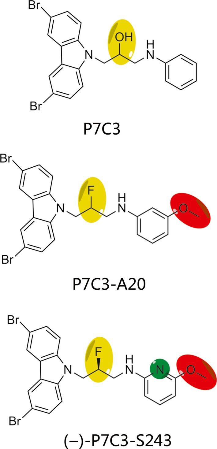 Figure 2