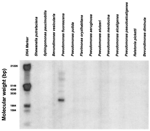 FIG. 6.