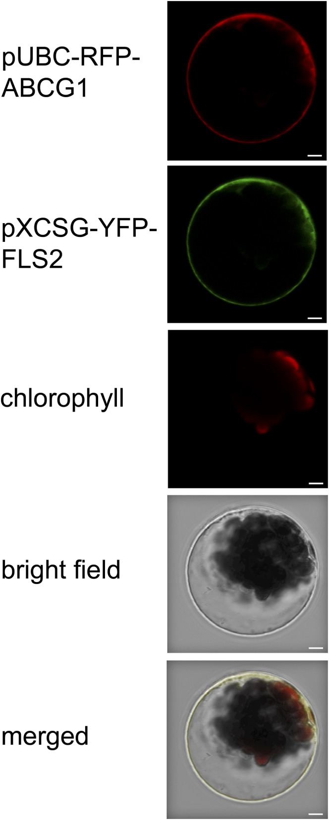 Figure 2.