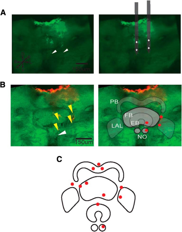 Figure 2.