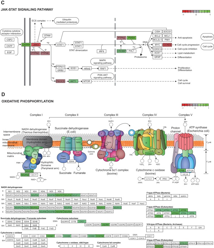 Fig. 4.