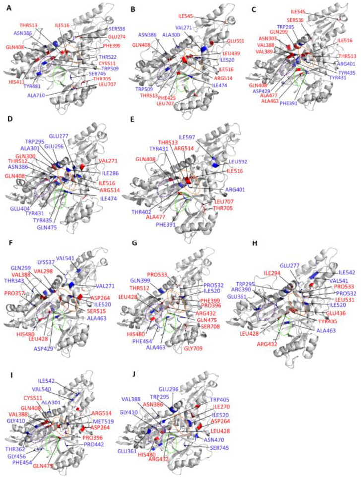 Figure 10