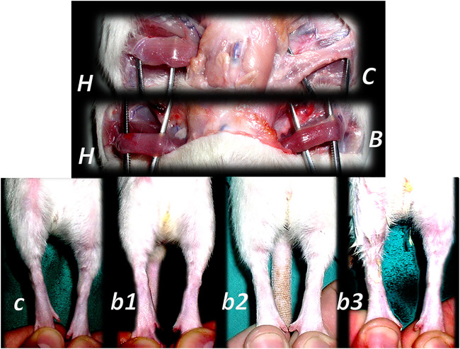 FIGURE 11