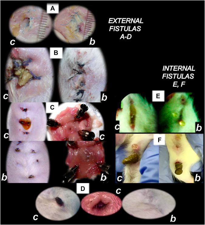 FIGURE 4