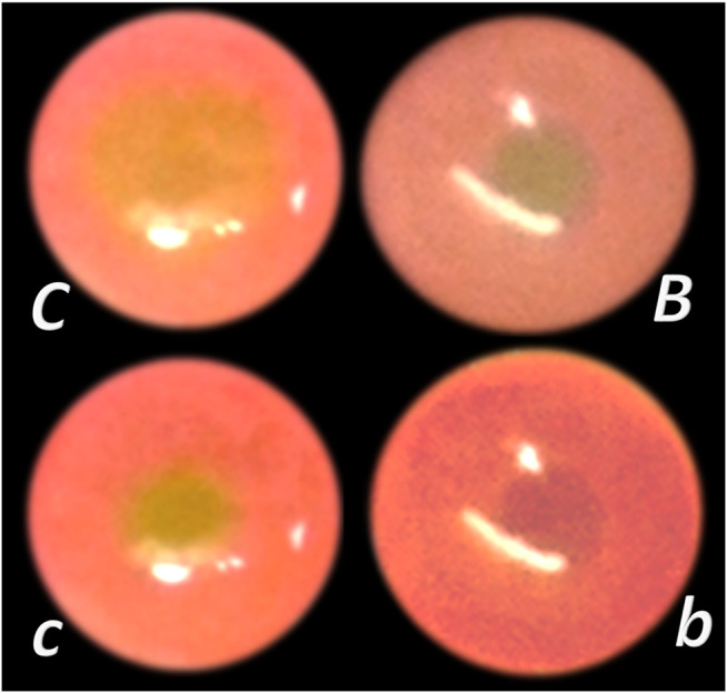 FIGURE 15