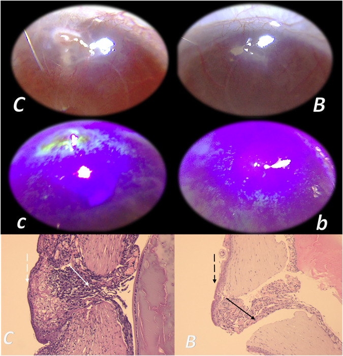 FIGURE 14