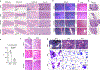 Extended Data Fig. 3 |