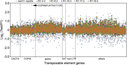 Figure 4