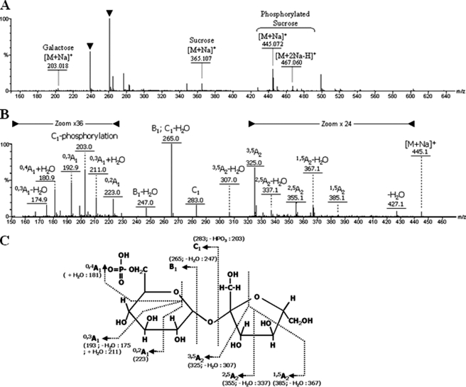 FIGURE 3.