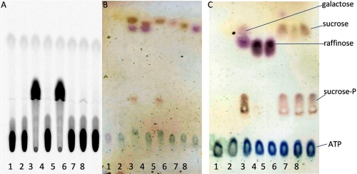 FIGURE 2.