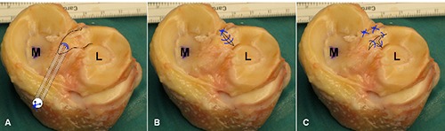 Figure 4.