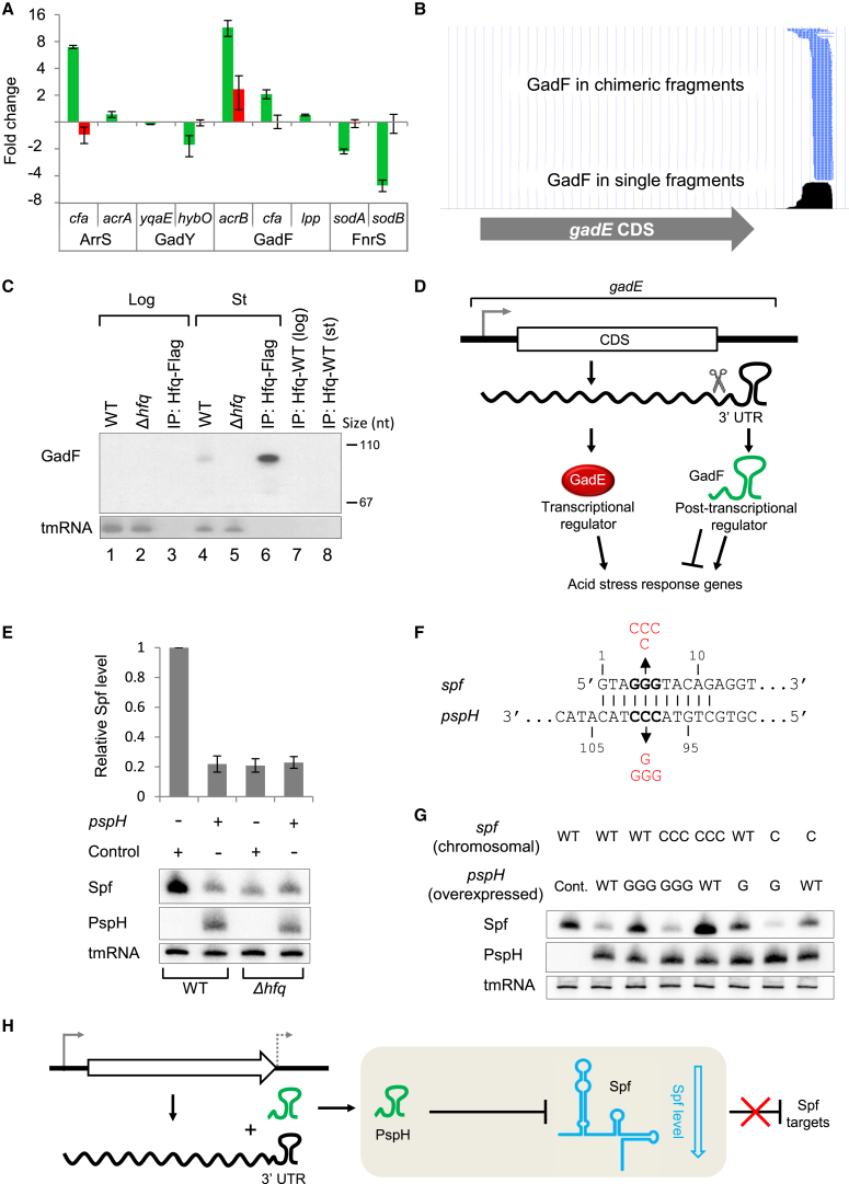 Figure 6