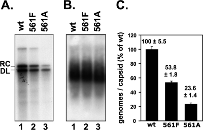 Fig. 9.