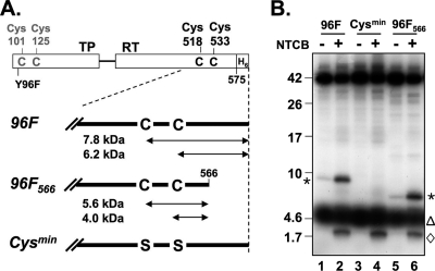 Fig. 5.