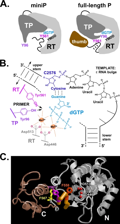 Fig. 10.