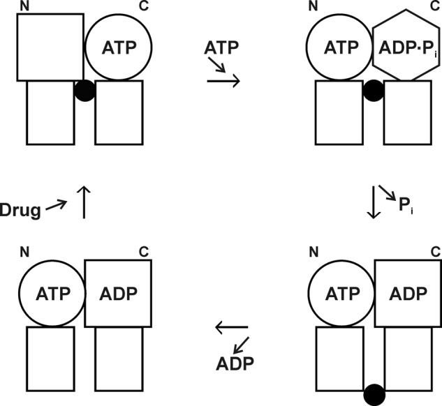 FIGURE 7.