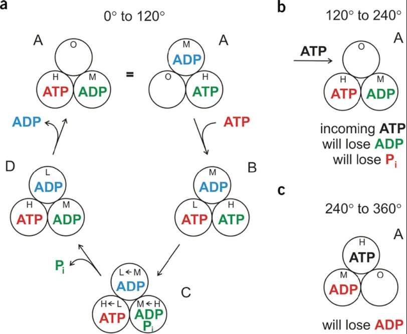 FIGURE 2.