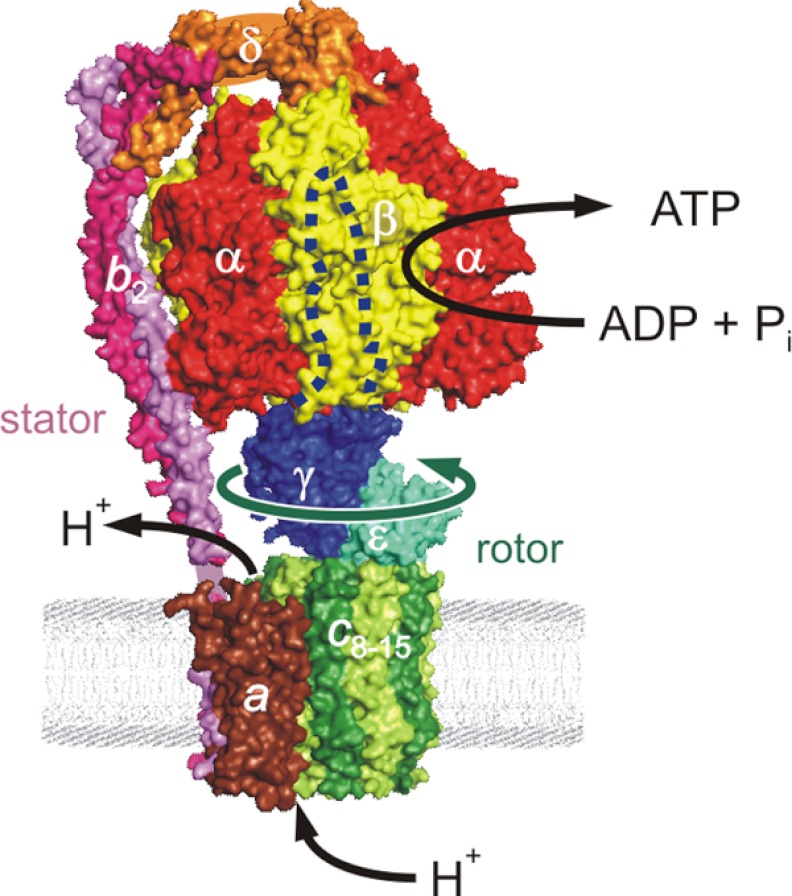 FIGURE 5.