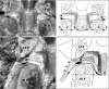 Fig. 4