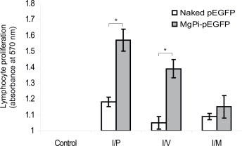 Fig. 6