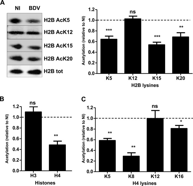 FIG 2