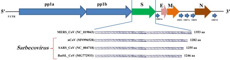 Figure 5.