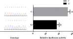 Figure 5