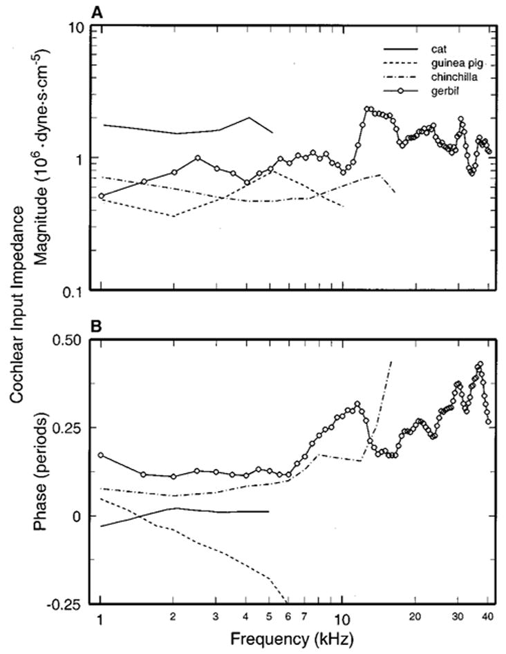 FIG. 6