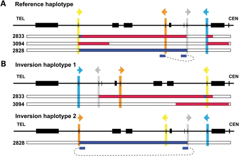 Figure 4.