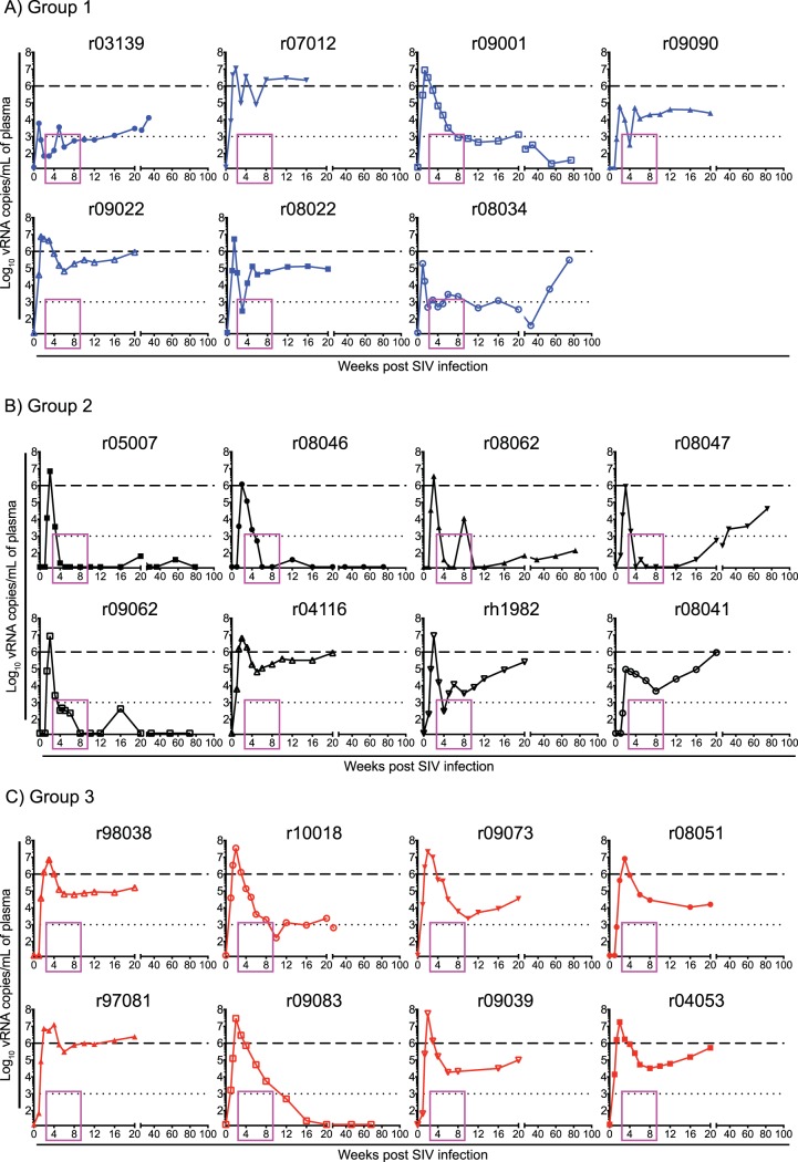 FIG 6