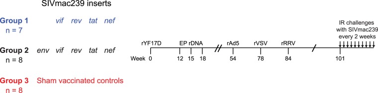 FIG 1