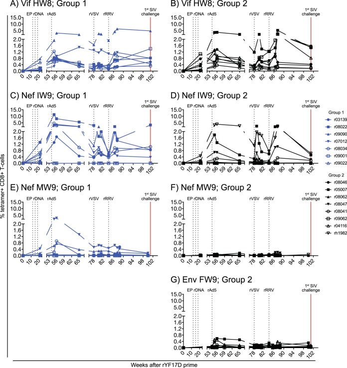 FIG 2