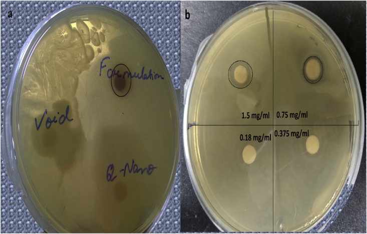 Fig. 8