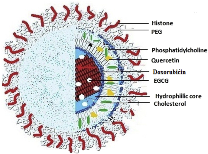 Fig. 1