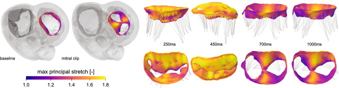 Fig. 8