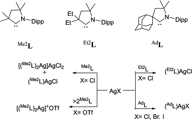 Scheme 57