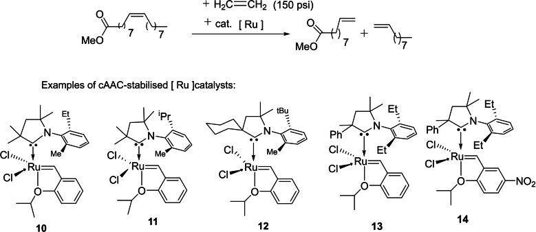 Scheme 4