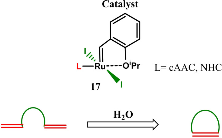 Scheme 6