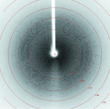 Figure 4