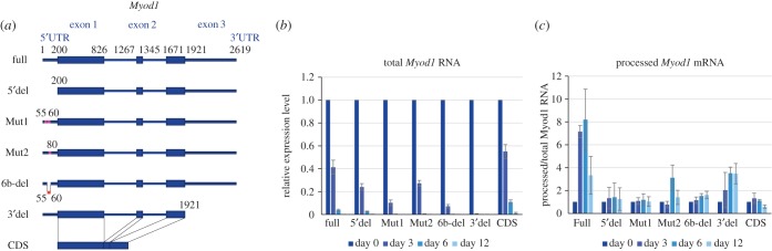 Figure 5.