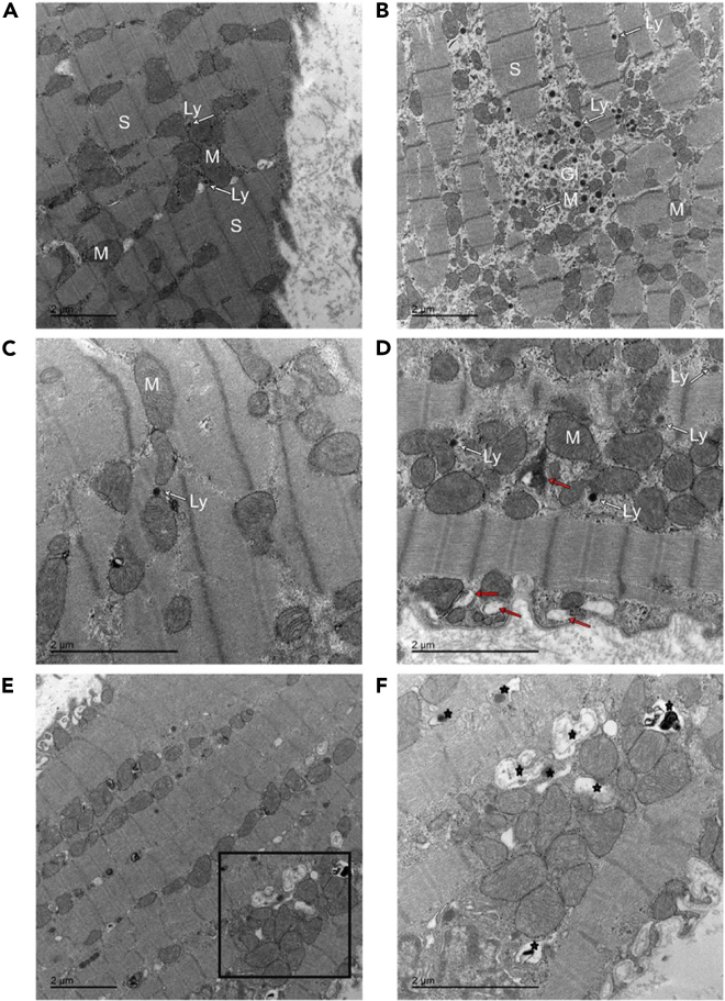 Figure 5